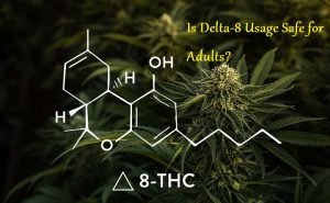 Is Delta-8 Safe for Adults