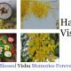 Vishu Wishes
